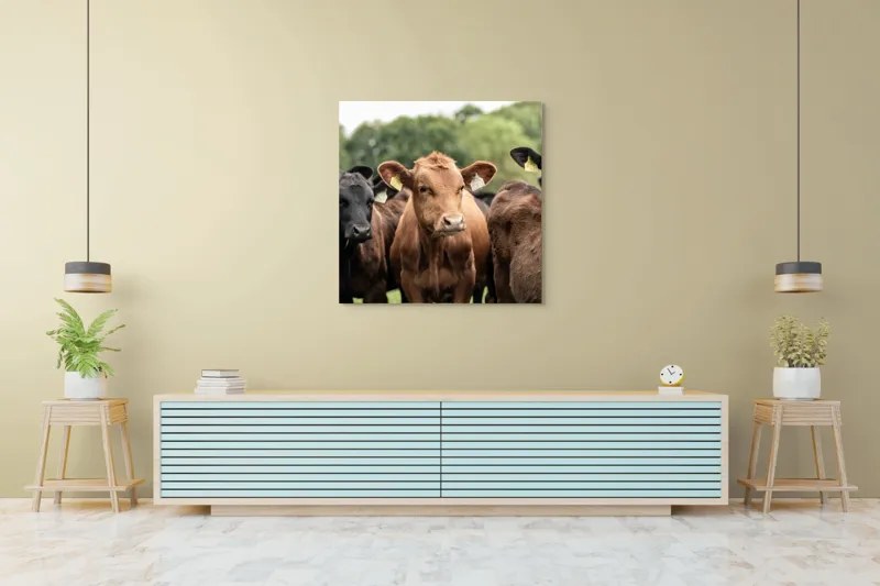 Tablou Canvas, "Întâlnirea vacilor în luminișul pădurii", Nu știu cine sunt., 100 x 100 cm – poza 5