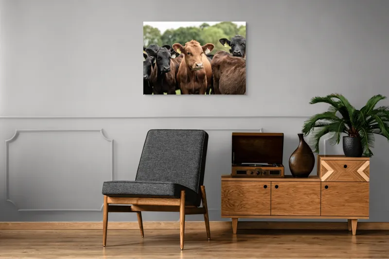 Tablou Canvas, "Întâlnirea vacilor în luminișul pădurii", 100 x 70 cm – poza 8
