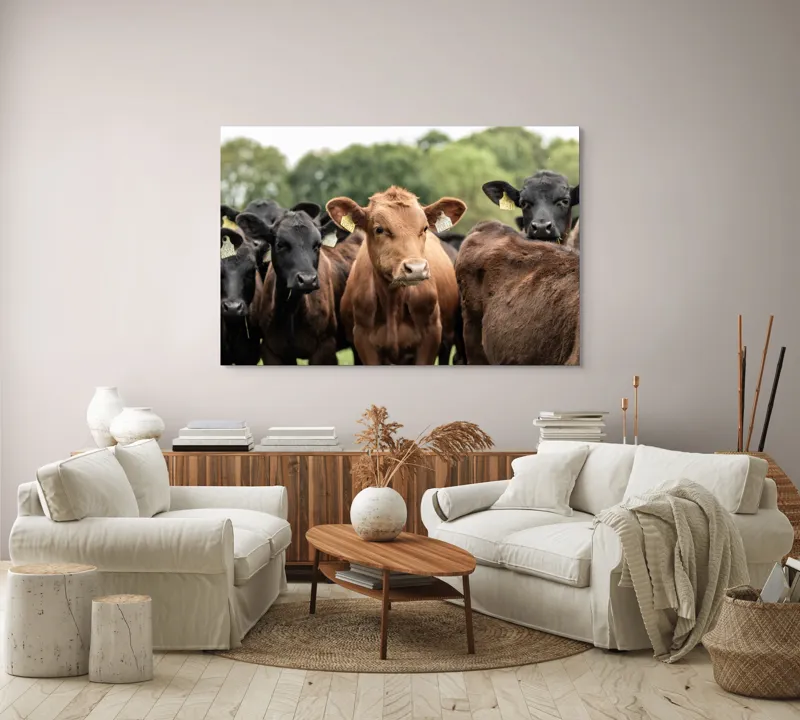 Tablou Canvas, "Întâlnirea vacilor în luminișul pădurii", 150 x 100 cm – poza 3