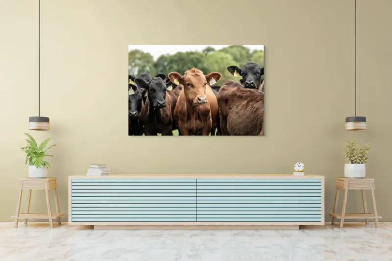 Tablou Canvas, "Întâlnirea vacilor în luminișul pădurii", 150 x 100 cm – poza 6