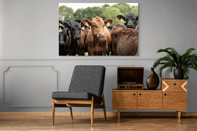 Tablou Canvas, "Întâlnirea vacilor în luminișul pădurii", 150 x 100 cm – poza 8