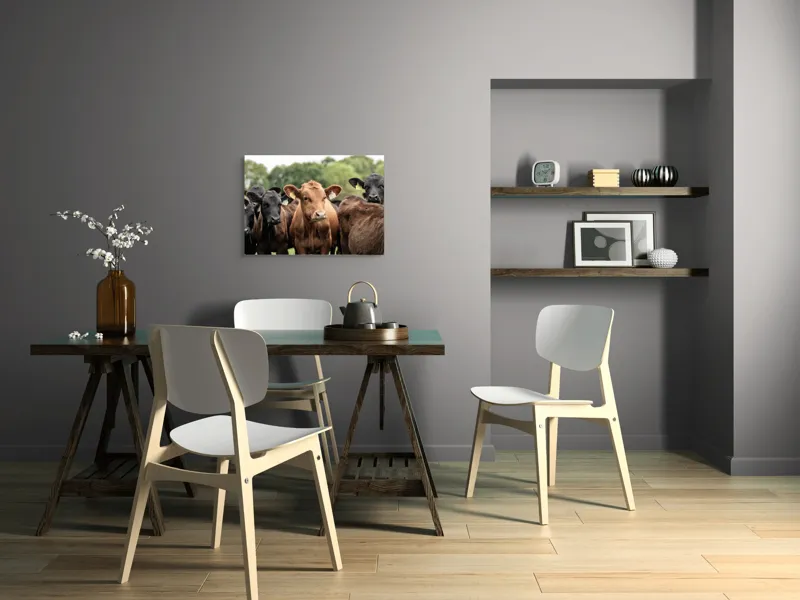 Tablou Canvas, "Întâlnirea vacilor în luminișul pădurii", 70 x 50 cm – poza 5