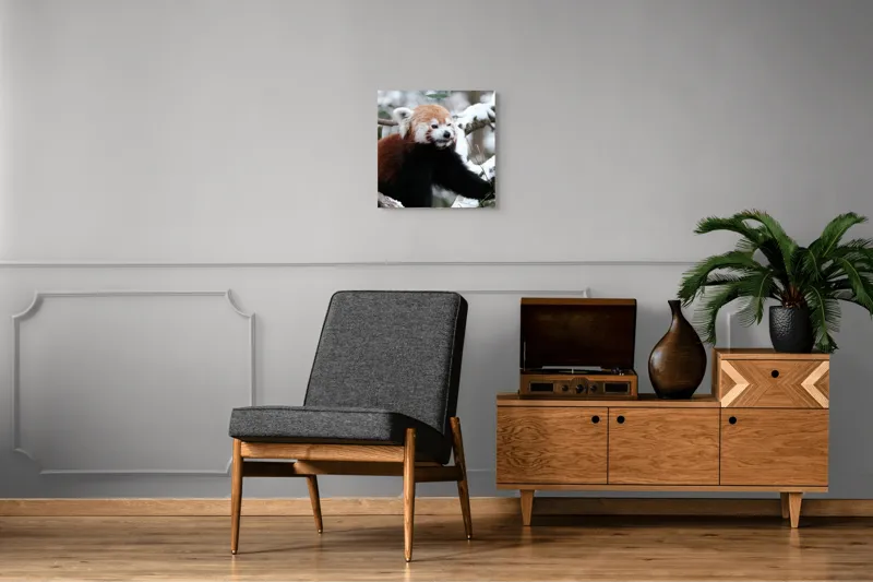 Tablou Canvas, "Panda roșu explorând zăpezile adânci", Roșcat, Pufos, Curios, Zăpadă, Crengi, Blajinit, Contrastant, Captivant, 50 x 50 cm – poza 6