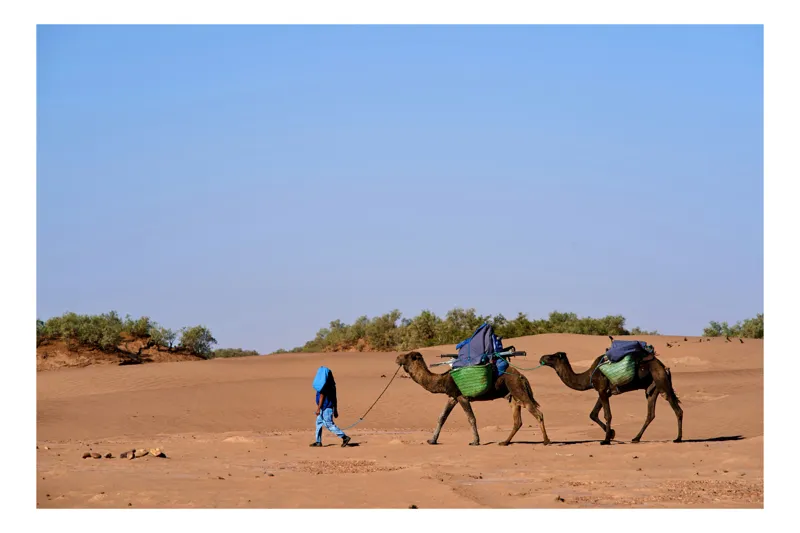 Tablou Canvas, "Caravana prin deșertul arid african", Deșert, Cămile, Soare, Oază, Albastru, Dune, Drumeție, Vegetație, 90 x 50 cm