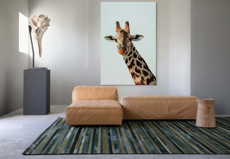 Tablou Canvas, "Giraful contemplativ sub cer senin", Giraffe, Cer, Pete, Cerulean, Grație, Faună, Eleganță, 100 x 150 cm – poza 7
