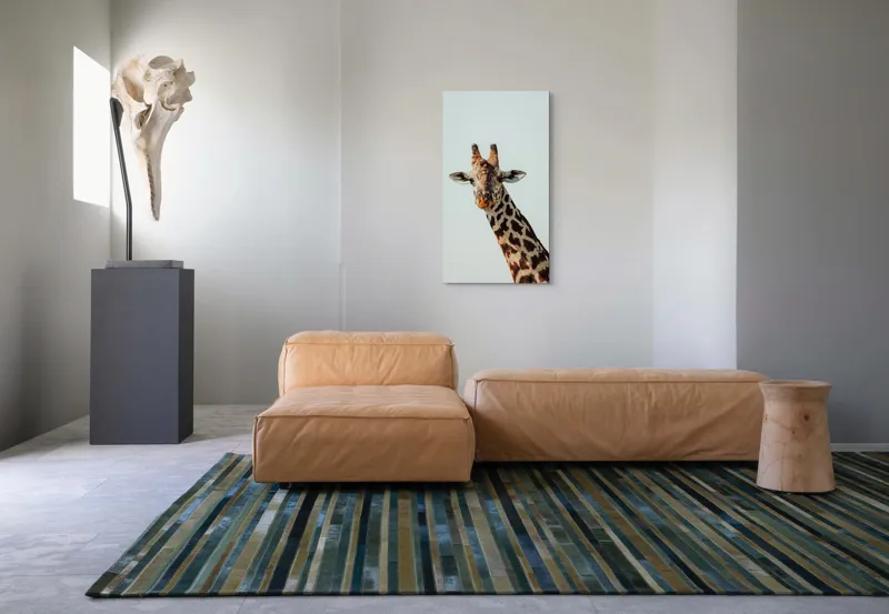 Tablou Canvas, "Giraful contemplativ sub cer senin", Giraffe, Cer, Pete, Cerulean, Grație, Faună, Eleganță, 50 x 90 cm – poza 5