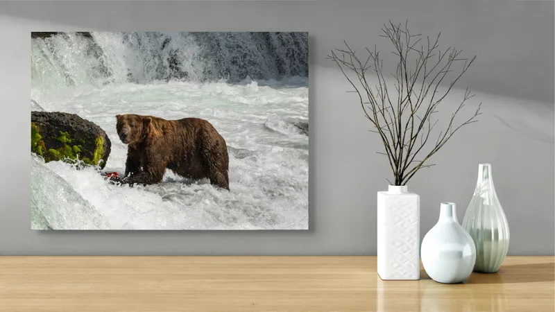 Tablou Canvas, "Urs la pescuit în râu spumegând", Urs, Apă, Pescuit, Cascade, Natură, Mușchi, Roci, Curent, Salbaticie, Vânător., 70 x 50 cm – poza 3