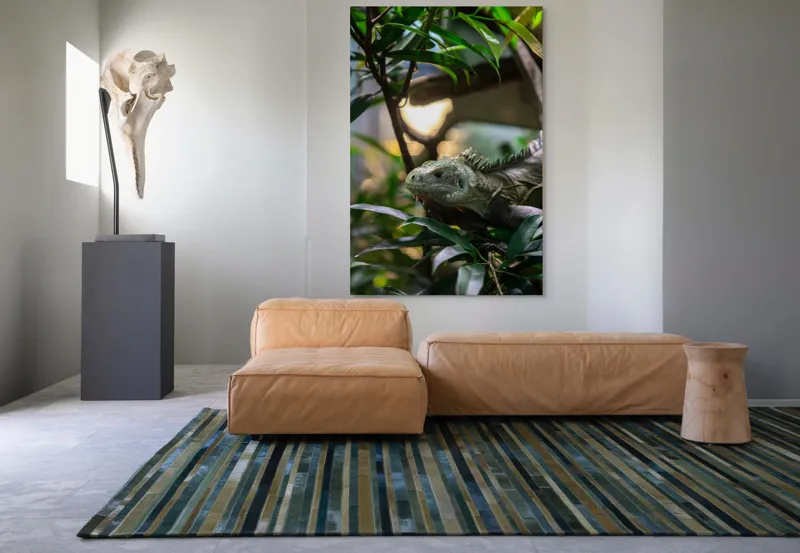 Tablou Canvas, "Iguana printre ramuri verzi luxuriante", Verde, Iguana, Frunze, Copac, Privire, Lumina, Natura, 100 x 150 cm – poza 7