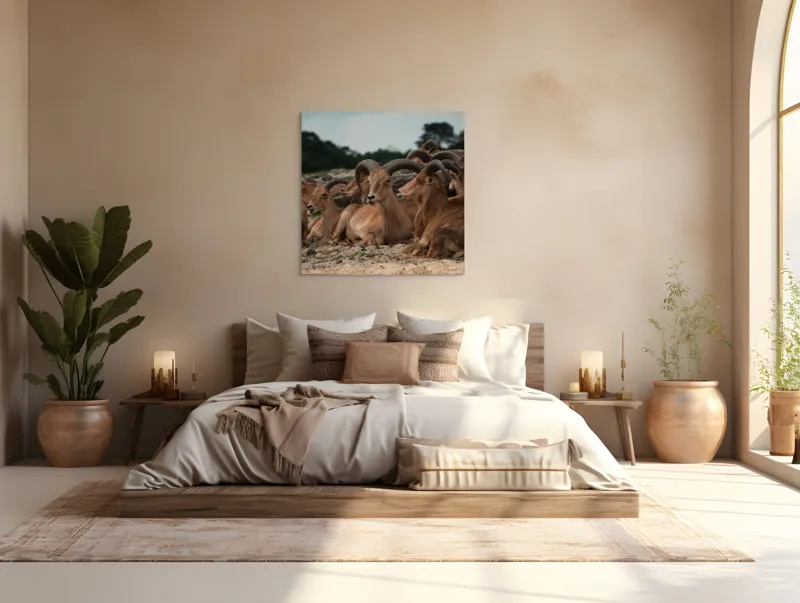Tablou Canvas, "Capre sălbatice odihnindu-se în peisaj", 100 x 100 cm – poza 4
