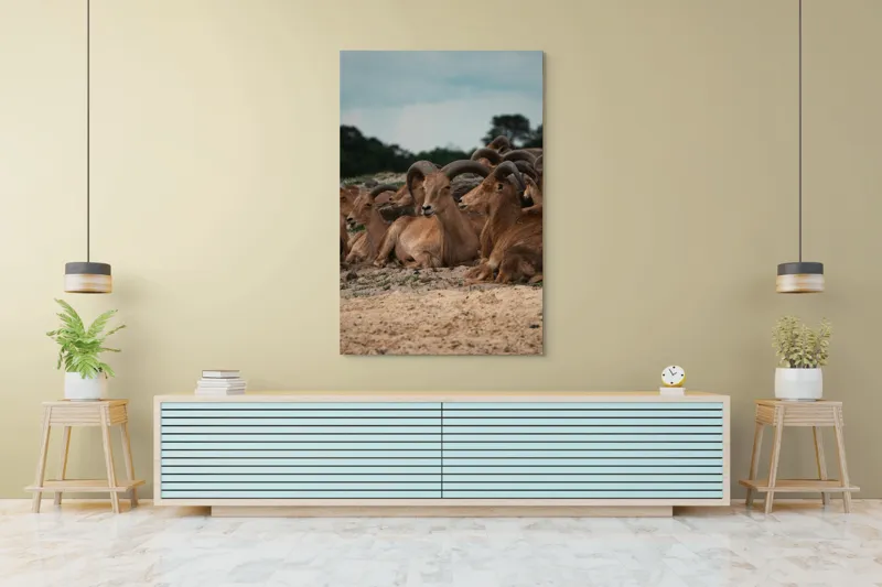 Tablou Canvas, "Capre sălbatice odihnindu-se în peisaj", 100 x 150 cm – poza 4