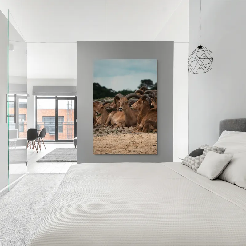 Tablou Canvas, "Capre sălbatice odihnindu-se în peisaj", 100 x 150 cm – poza 5