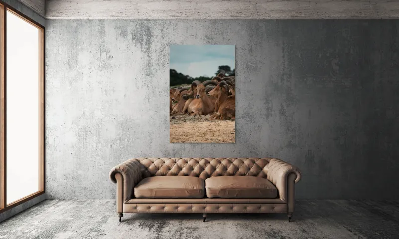 Tablou Canvas, "Capre sălbatice odihnindu-se în peisaj", 100 x 150 cm – poza 6