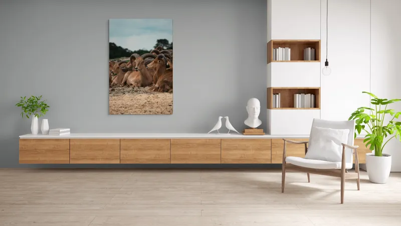 Tablou Canvas, "Capre sălbatice odihnindu-se în peisaj", 100 x 150 cm – poza 8