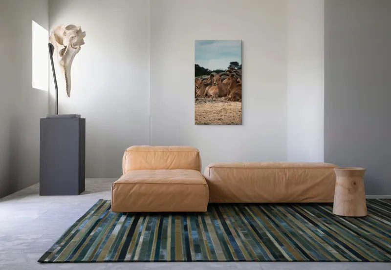 Tablou Canvas, "Capre sălbatice odihnindu-se în peisaj", 50 x 90 cm – poza 5