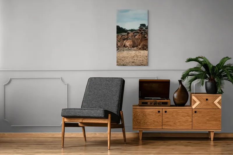 Tablou Canvas, "Capre sălbatice odihnindu-se în peisaj", 50 x 90 cm – poza 8