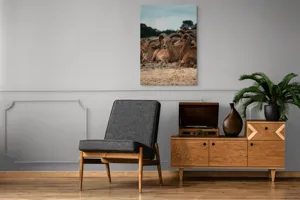 Tablou Canvas, "Capre sălbatice odihnindu-se în peisaj", 70 x 100 cm – poza 6