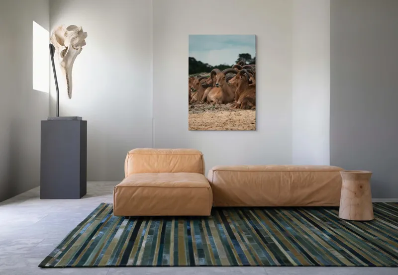 Tablou Canvas, "Capre sălbatice odihnindu-se în peisaj", 70 x 100 cm – poza 7