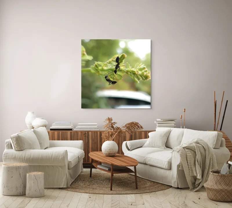 Tablou Canvas, "Două furnici pe o floare verde", Furnici, Frunze, Interacțiune, Natură, Verde, Lumină, Macro, Echilibru, 100 x 100 cm – poza 3