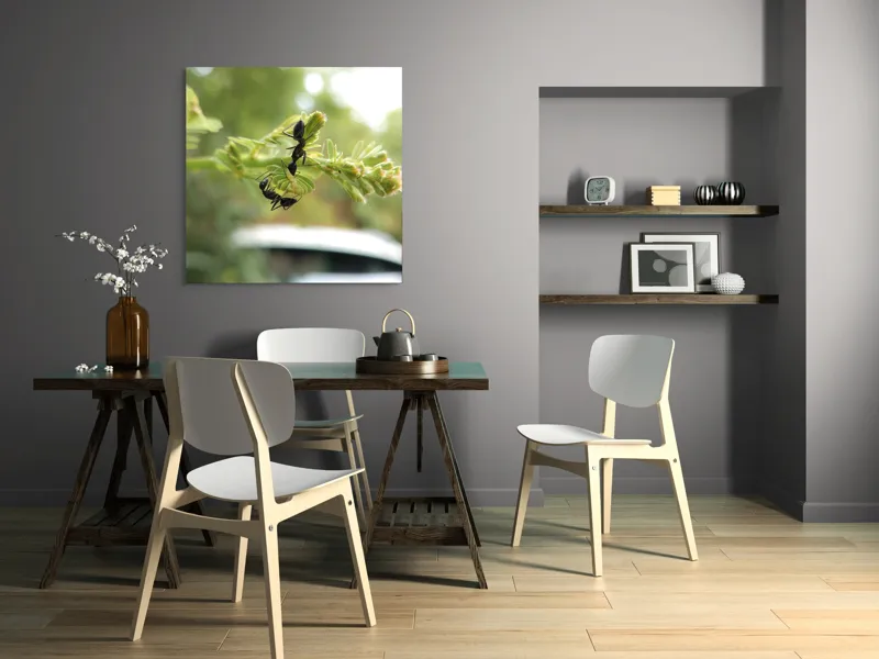Tablou Canvas, "Două furnici pe o floare verde", Furnici, Frunze, Interacțiune, Natură, Verde, Lumină, Macro, Echilibru, 100 x 100 cm – poza 6