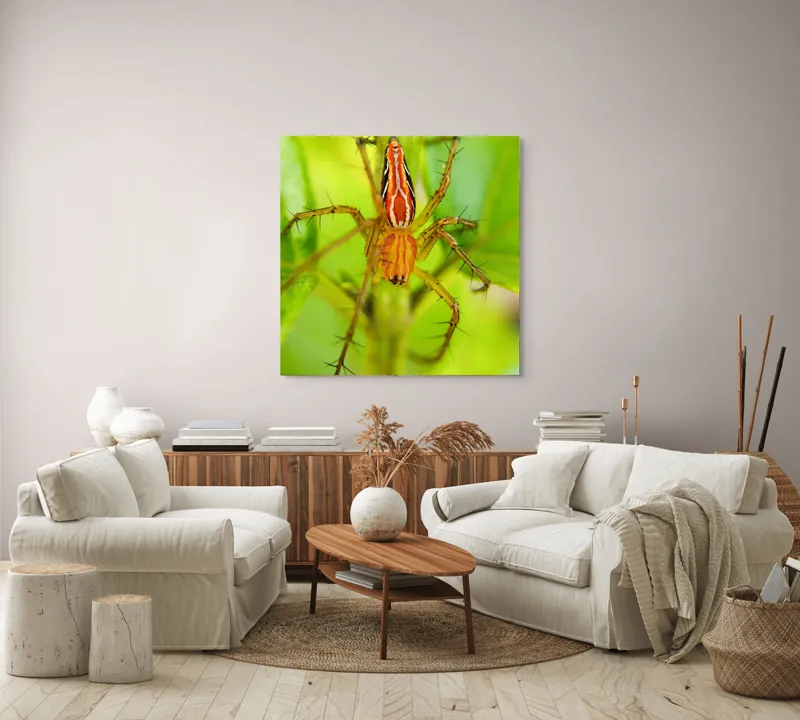 Tablou Canvas, "Păianjen ascuns printre frunze verzi", Păianjen, Portocaliu, Verde, Frunze, Detaliu, Fragilitate, Natură, Contrast, Delicatețe, Aderență., 100 x 100 cm – poza 3