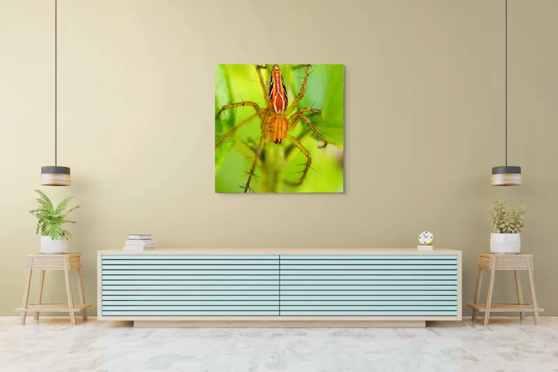Tablou Canvas, "Păianjen ascuns printre frunze verzi", Păianjen, Portocaliu, Verde, Frunze, Detaliu, Fragilitate, Natură, Contrast, Delicatețe, Aderență., 100 x 100 cm – poza 5