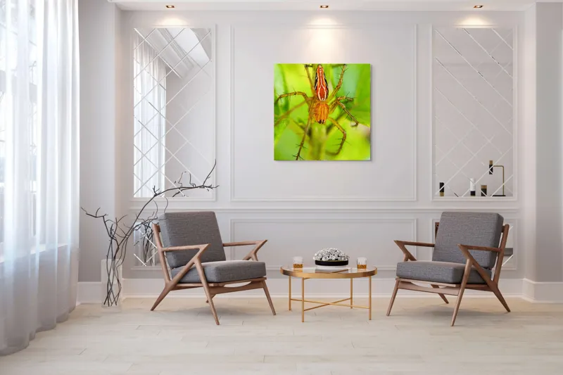 Tablou Canvas, "Păianjen ascuns printre frunze verzi", Păianjen, Portocaliu, Verde, Frunze, Detaliu, Fragilitate, Natură, Contrast, Delicatețe, Aderență., 100 x 100 cm – poza 7