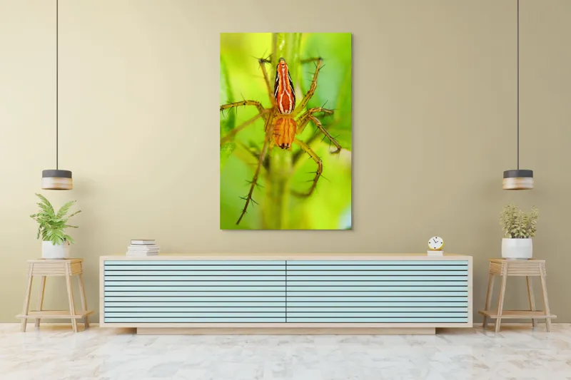 Tablou Canvas, "Păianjen ascuns printre frunze verzi", Păianjen, Portocaliu, Verde, Frunze, Detaliu, Fragilitate, Natură, Contrast, Delicatețe, Aderență., 100 x 150 cm – poza 4