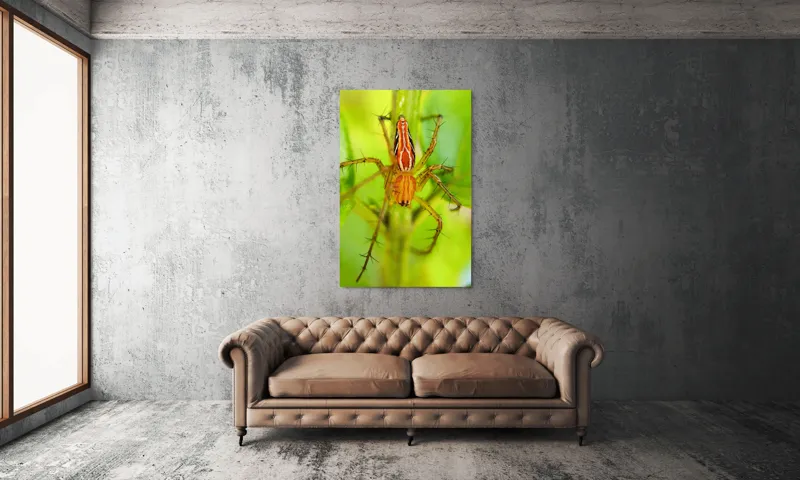 Tablou Canvas, "Păianjen ascuns printre frunze verzi", Păianjen, Portocaliu, Verde, Frunze, Detaliu, Fragilitate, Natură, Contrast, Delicatețe, Aderență., 100 x 150 cm – poza 6