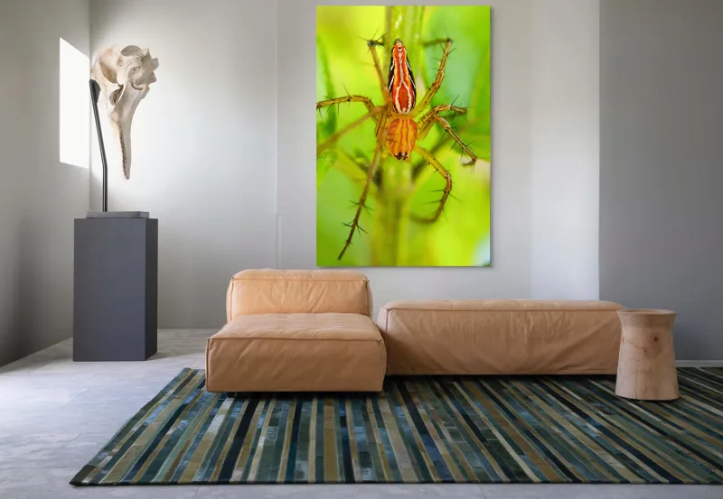 Tablou Canvas, "Păianjen ascuns printre frunze verzi", Păianjen, Portocaliu, Verde, Frunze, Detaliu, Fragilitate, Natură, Contrast, Delicatețe, Aderență., 100 x 150 cm – poza 7