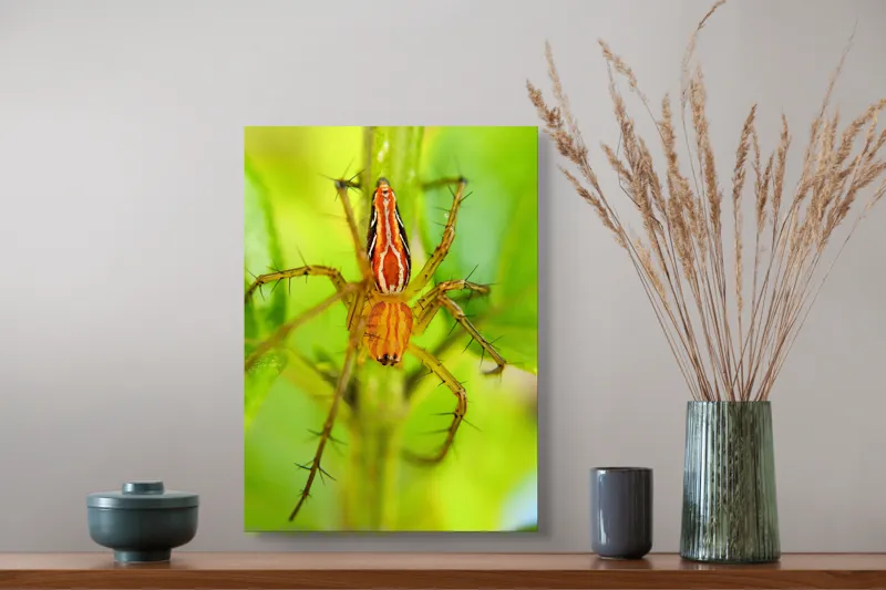 Tablou Canvas, "Păianjen ascuns printre frunze verzi", Păianjen, Portocaliu, Verde, Frunze, Detaliu, Fragilitate, Natură, Contrast, Delicatețe, Aderență., 39 x 54 cm – poza 3