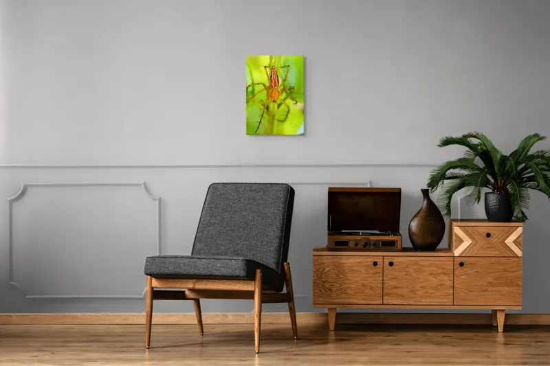 Tablou Canvas, "Păianjen ascuns printre frunze verzi", Păianjen, Portocaliu, Verde, Frunze, Detaliu, Fragilitate, Natură, Contrast, Delicatețe, Aderență., 39 x 54 cm – poza 8