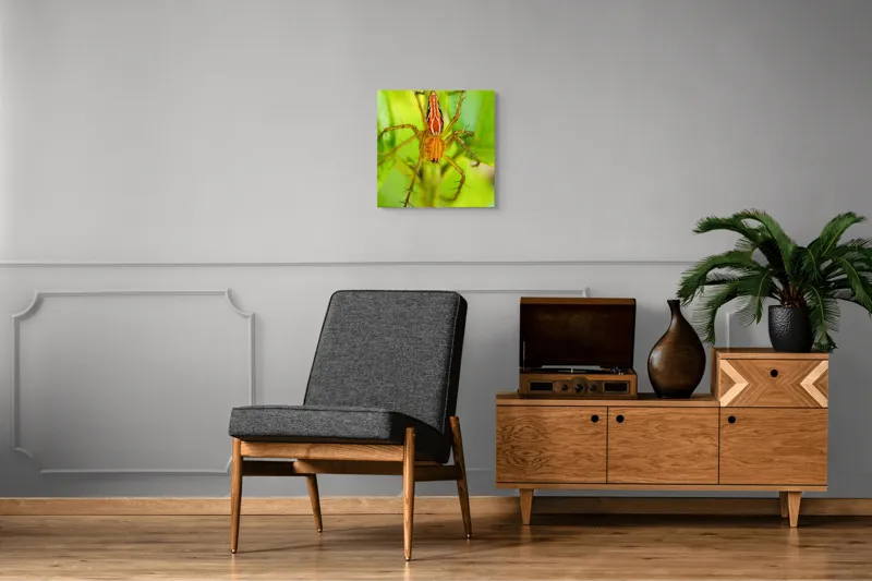 Tablou Canvas, "Păianjen ascuns printre frunze verzi", Păianjen, Portocaliu, Verde, Frunze, Detaliu, Fragilitate, Natură, Contrast, Delicatețe, Aderență., 50 x 50 cm – poza 6