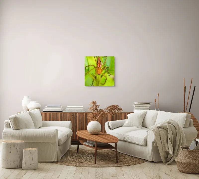 Tablou Canvas, "Păianjen ascuns printre frunze verzi", Păianjen, Portocaliu, Verde, Frunze, Detaliu, Fragilitate, Natură, Contrast, Delicatețe, Aderență., 50 x 50 cm – poza 7