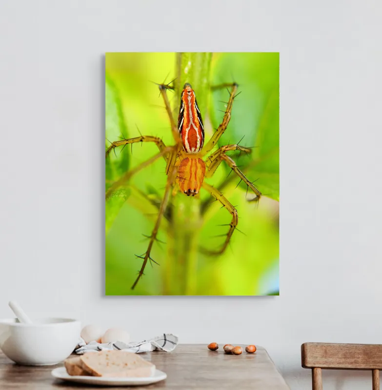 Tablou Canvas, "Păianjen ascuns printre frunze verzi", Păianjen, Portocaliu, Verde, Frunze, Detaliu, Fragilitate, Natură, Contrast, Delicatețe, Aderență., 50 x 70 cm – poza 3