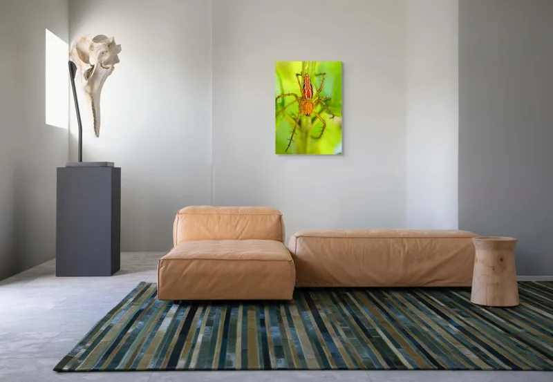 Tablou Canvas, "Păianjen ascuns printre frunze verzi", Păianjen, Portocaliu, Verde, Frunze, Detaliu, Fragilitate, Natură, Contrast, Delicatețe, Aderență., 50 x 70 cm – poza 7