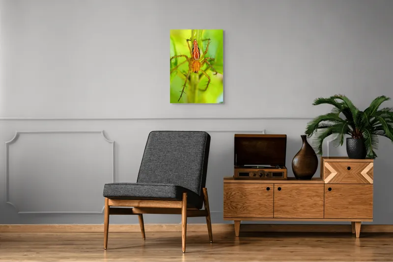 Tablou Canvas, "Păianjen ascuns printre frunze verzi", Păianjen, Portocaliu, Verde, Frunze, Detaliu, Fragilitate, Natură, Contrast, Delicatețe, Aderență., 50 x 70 cm – poza 8