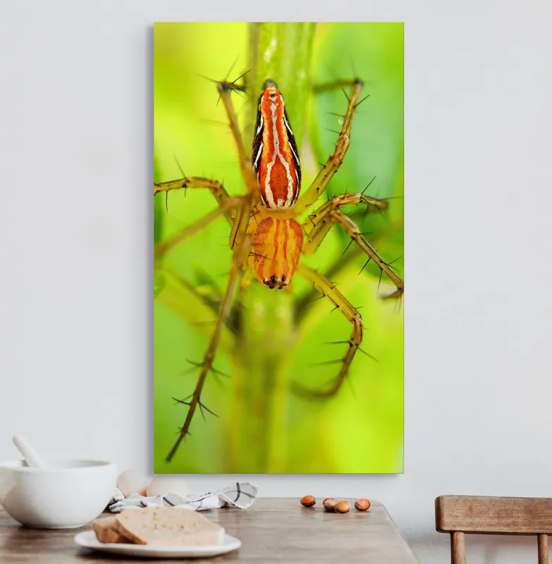 Tablou Canvas, "Păianjen ascuns printre frunze verzi", Păianjen, Portocaliu, Verde, Frunze, Detaliu, Fragilitate, Natură, Contrast, Delicatețe, Aderență., 50 x 90 cm – poza 3