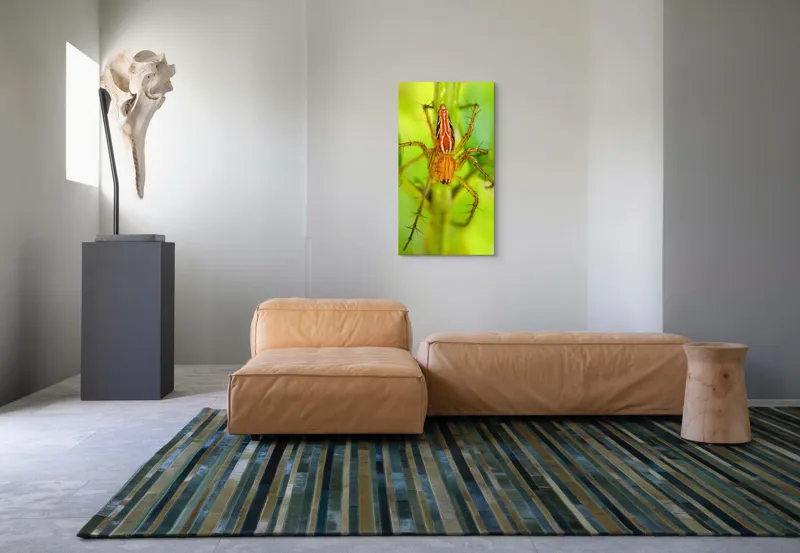 Tablou Canvas, "Păianjen ascuns printre frunze verzi", Păianjen, Portocaliu, Verde, Frunze, Detaliu, Fragilitate, Natură, Contrast, Delicatețe, Aderență., 50 x 90 cm – poza 5