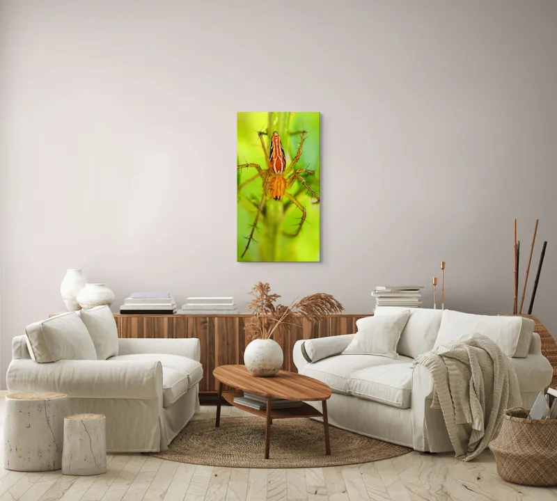 Tablou Canvas, "Păianjen ascuns printre frunze verzi", Păianjen, Portocaliu, Verde, Frunze, Detaliu, Fragilitate, Natură, Contrast, Delicatețe, Aderență., 50 x 90 cm – poza 7