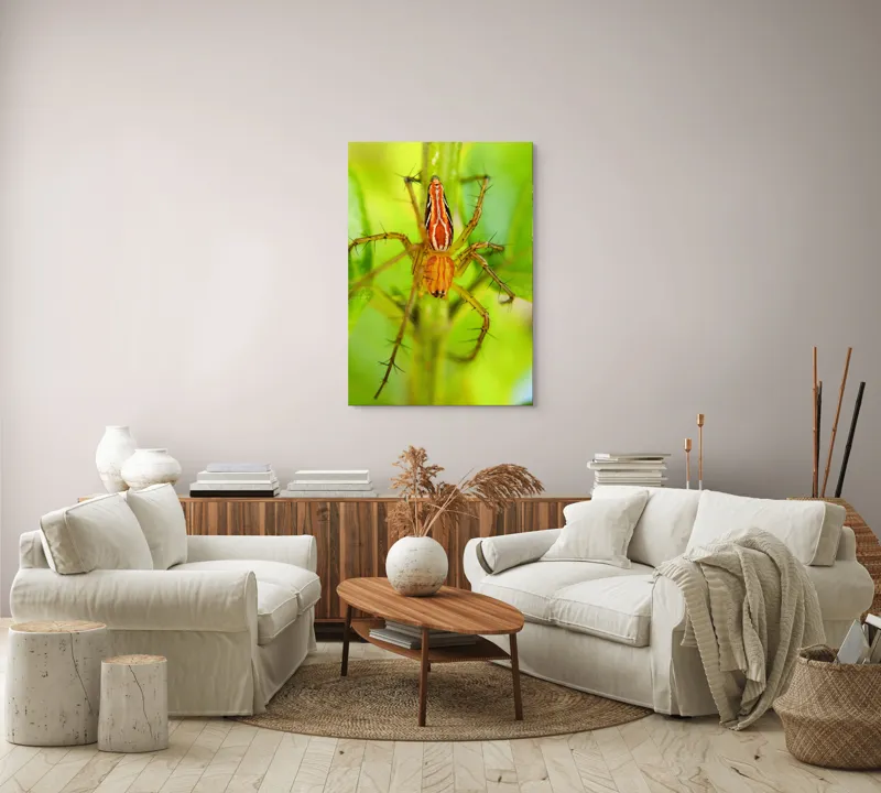 Tablou Canvas, "Păianjen ascuns printre frunze verzi", Păianjen, Portocaliu, Verde, Frunze, Detaliu, Fragilitate, Natură, Contrast, Delicatețe, Aderență., 70 x 100 cm – poza 4
