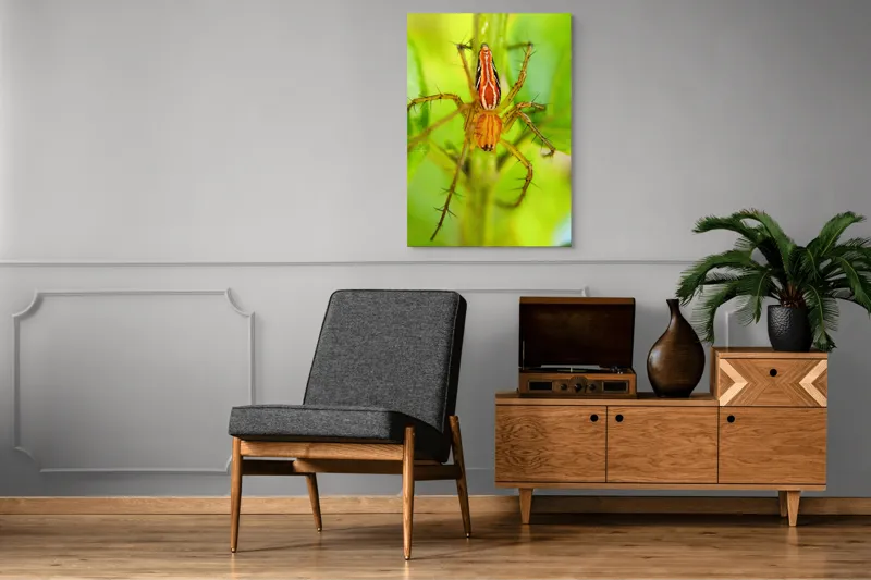 Tablou Canvas, "Păianjen ascuns printre frunze verzi", Păianjen, Portocaliu, Verde, Frunze, Detaliu, Fragilitate, Natură, Contrast, Delicatețe, Aderență., 70 x 100 cm – poza 6