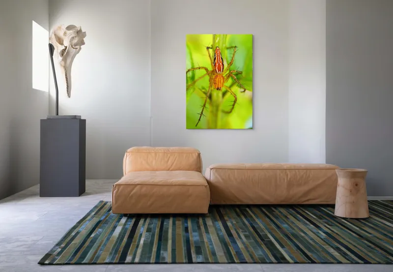 Tablou Canvas, "Păianjen ascuns printre frunze verzi", Păianjen, Portocaliu, Verde, Frunze, Detaliu, Fragilitate, Natură, Contrast, Delicatețe, Aderență., 70 x 100 cm – poza 7