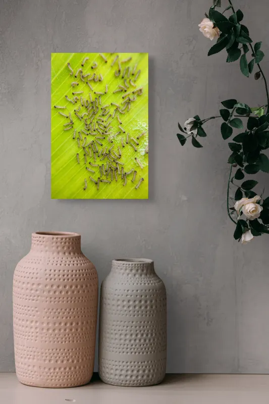 Tablou Canvas, "Omizi pe frunza verde vibrantă", Omizi, Verde, Frunză, Larve, Natură, 26 x 39 cm – poza 6