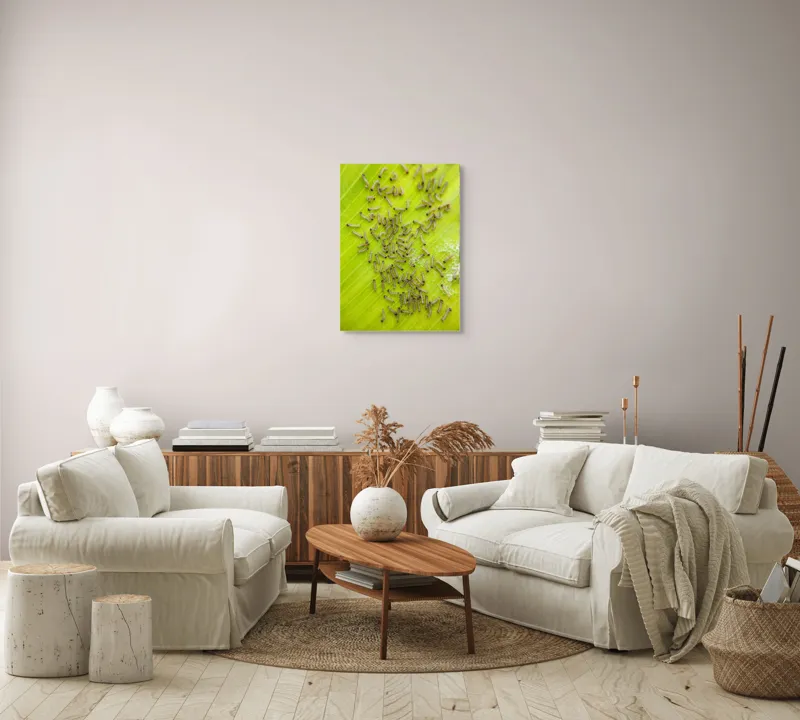 Tablou Canvas, "Omizi pe frunza verde vibrantă", Omizi, Verde, Frunză, Larve, Natură, 50 x 70 cm – poza 4