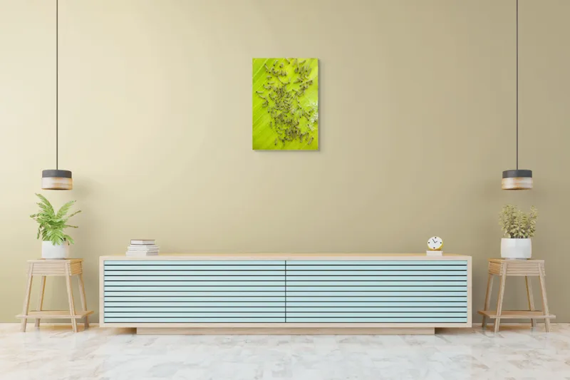 Tablou Canvas, "Omizi pe frunza verde vibrantă", Omizi, Verde, Frunză, Larve, Natură, 50 x 70 cm – poza 6