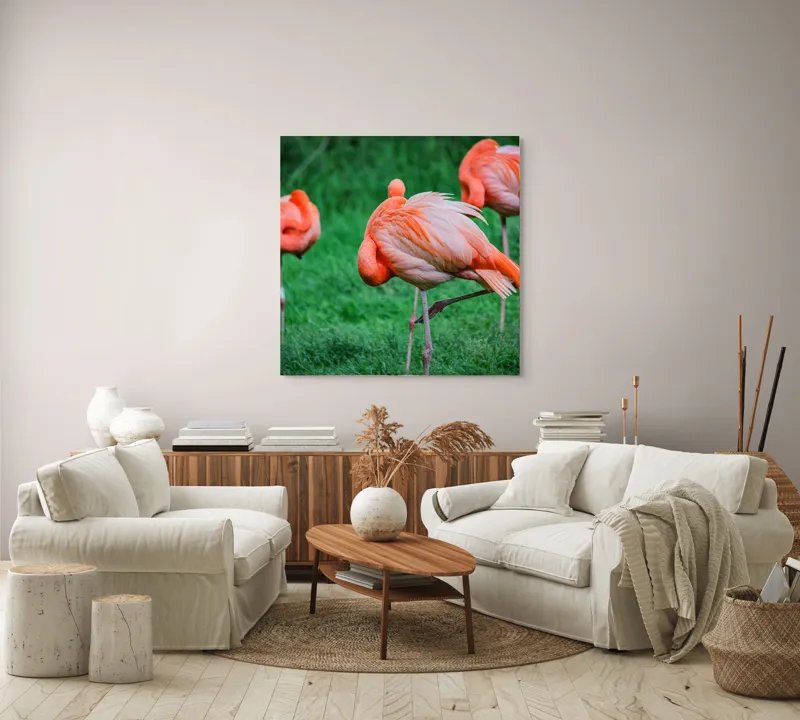 Tablou Canvas, "Flamingo roz în ținută de seară", Flamingo, Roz, Pene, Picioare, Verde, Odihnă, Grădină, Nisip, Grup, Natură, 100 x 100 cm – poza 3