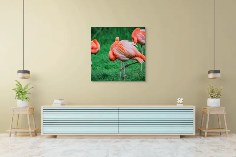 Tablou Canvas, "Flamingo roz în ținută de seară", Flamingo, Roz, Pene, Picioare, Verde, Odihnă, Grădină, Nisip, Grup, Natură, 100 x 100 cm – poza 5