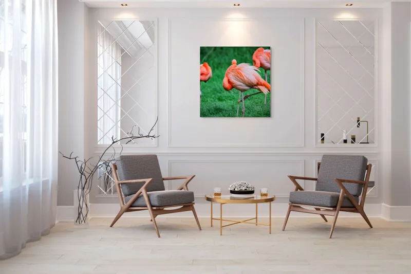 Tablou Canvas, "Flamingo roz în ținută de seară", Flamingo, Roz, Pene, Picioare, Verde, Odihnă, Grădină, Nisip, Grup, Natură, 100 x 100 cm – poza 7