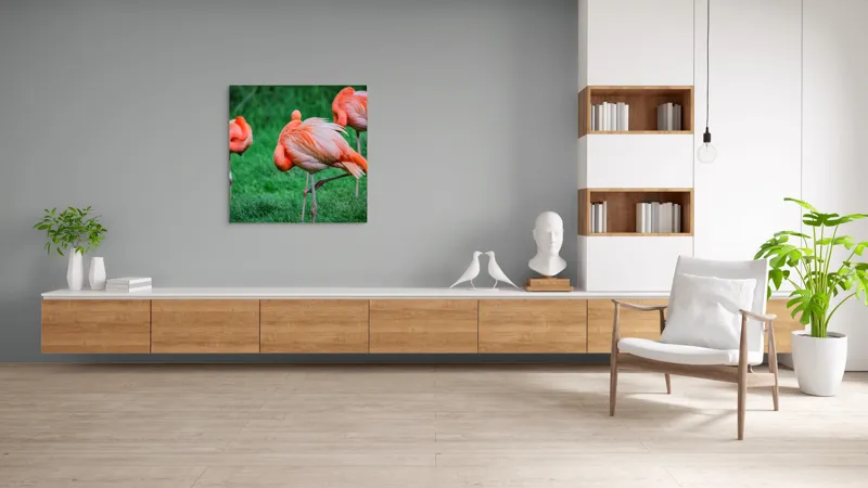 Tablou Canvas, "Flamingo roz în ținută de seară", Flamingo, Roz, Pene, Picioare, Verde, Odihnă, Grădină, Nisip, Grup, Natură, 100 x 100 cm – poza 8