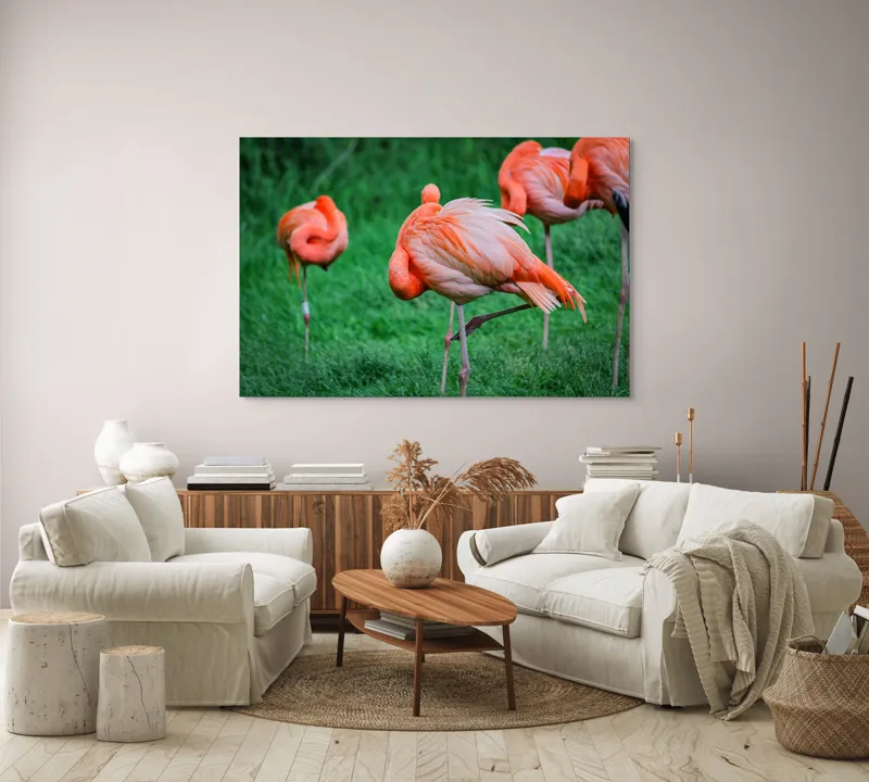 Tablou Canvas, "Flamingo roz în ținută de seară", Flamingo, Roz, Pene, Picioare, Verde, Odihnă, Grădină, Nisip, Grup, Natură, 150 x 100 cm – poza 3